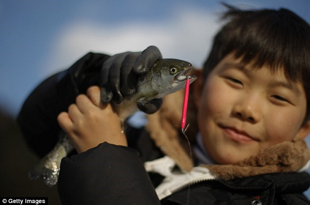 Han quoc cau ca tren bang